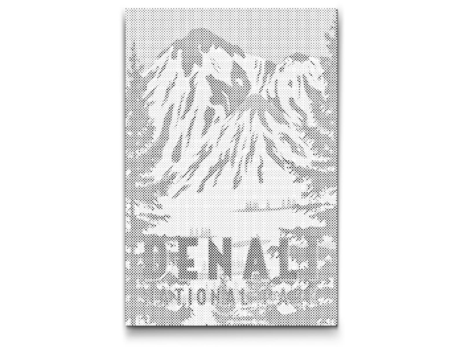 Denali National Park - Dottingo