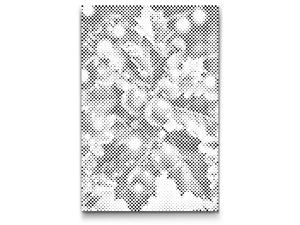 Sprig of holly - Dottingo