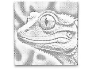 Lizard in shades of pink - Dottingo
