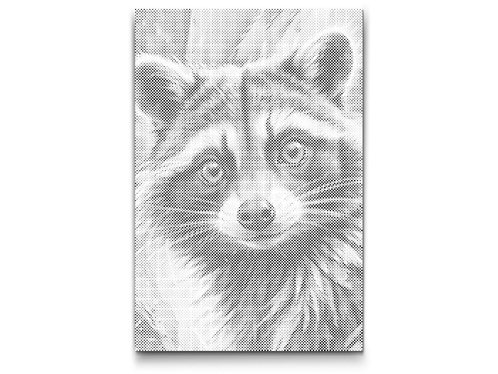 Raccoon in shades of dark turquoise - Dottingo