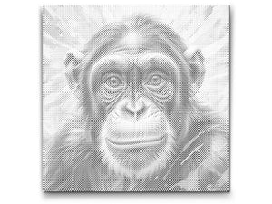 Chimpanzee in shades of pink - Dottingo