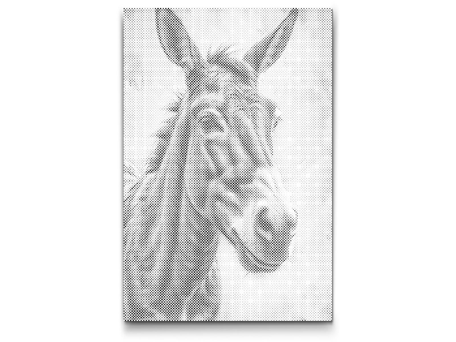 Donkey in shades of dark turquoise - Dottingo