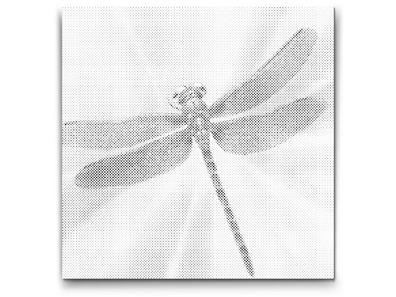 Dragonfly in shades of turquoise and orange - Dottingo