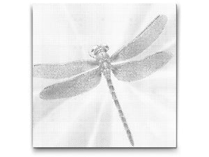 Dragonfly in shades of turquoise and orange - Dottingo