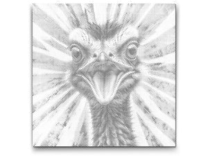 Ostrich in shades of red and blue - Dottingo