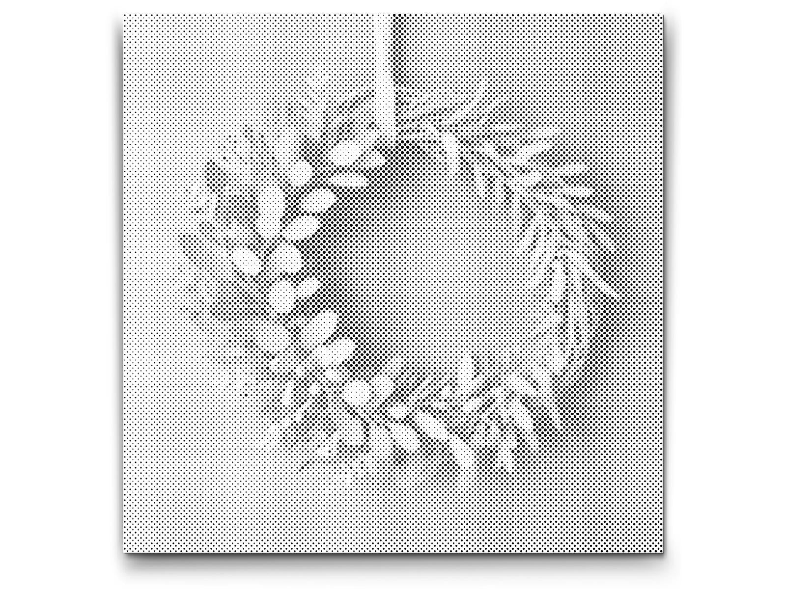 Garland with eucalyptus - Dottingo