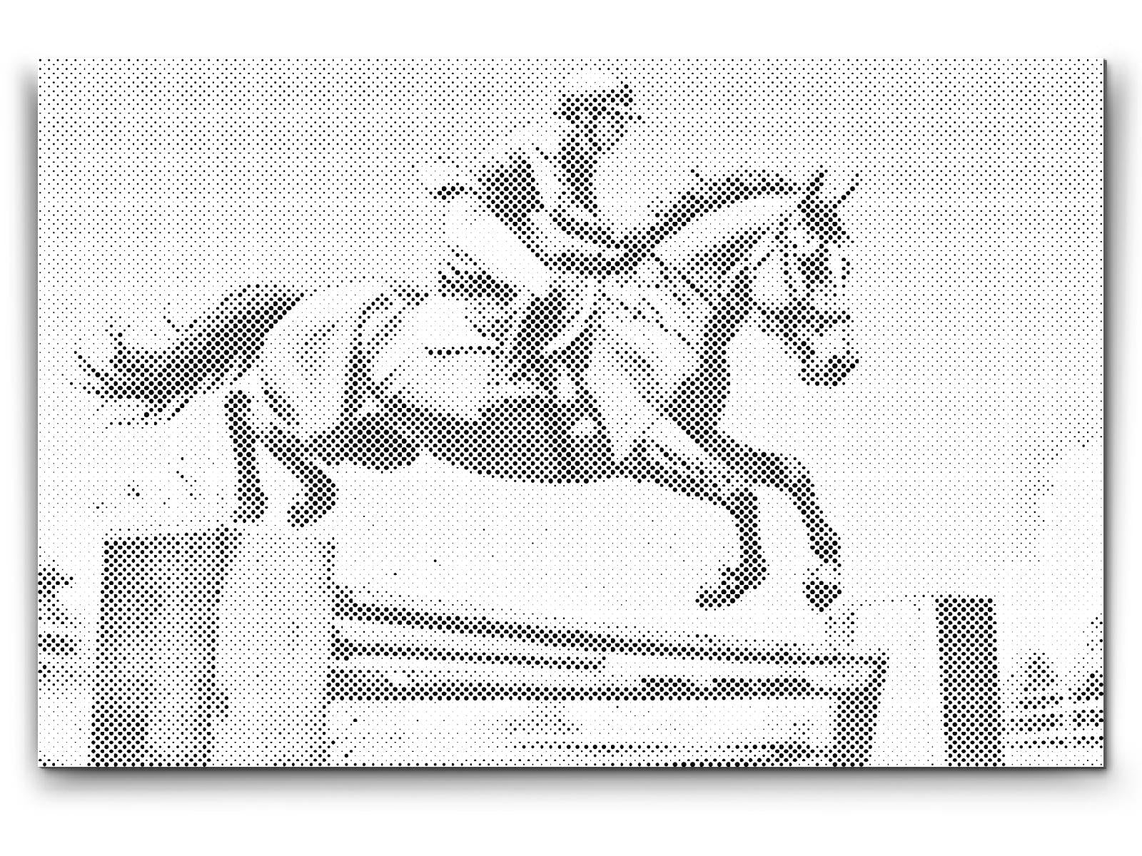 Horse riding - Dottingo