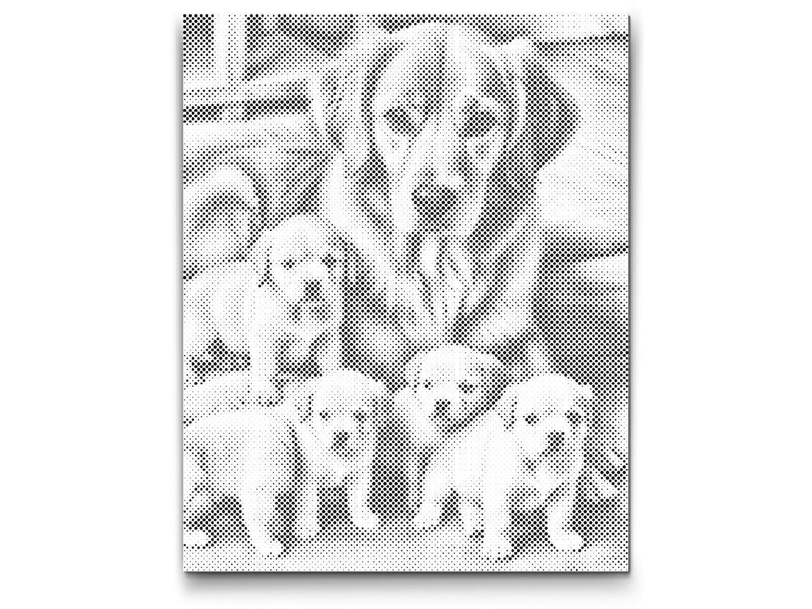 Golden retriever and puppies - Dottingo