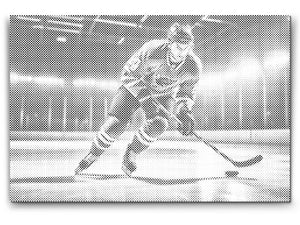 Ice hockey - Dottingo