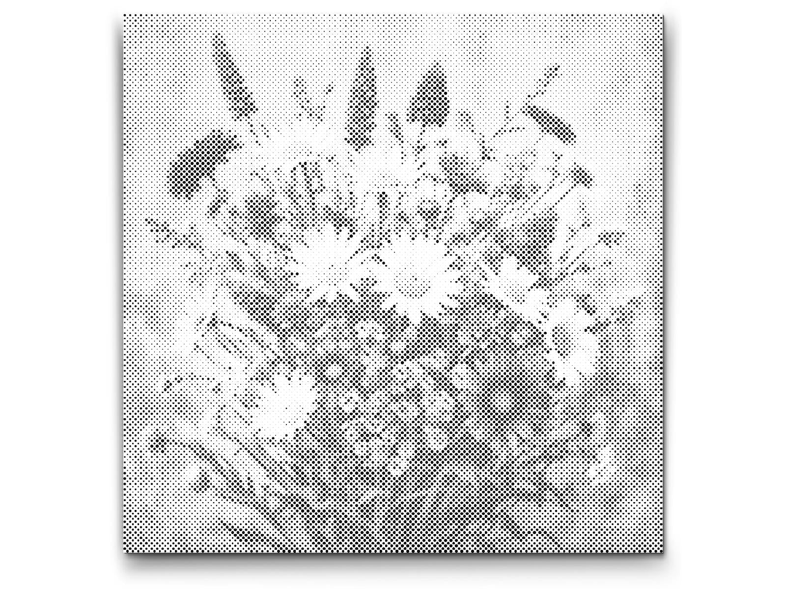 A bouquet of meadow flowers - Dottingo
