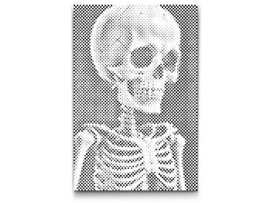 Skeleton - Dottingo