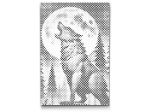 Wolf in the night - Dottingo