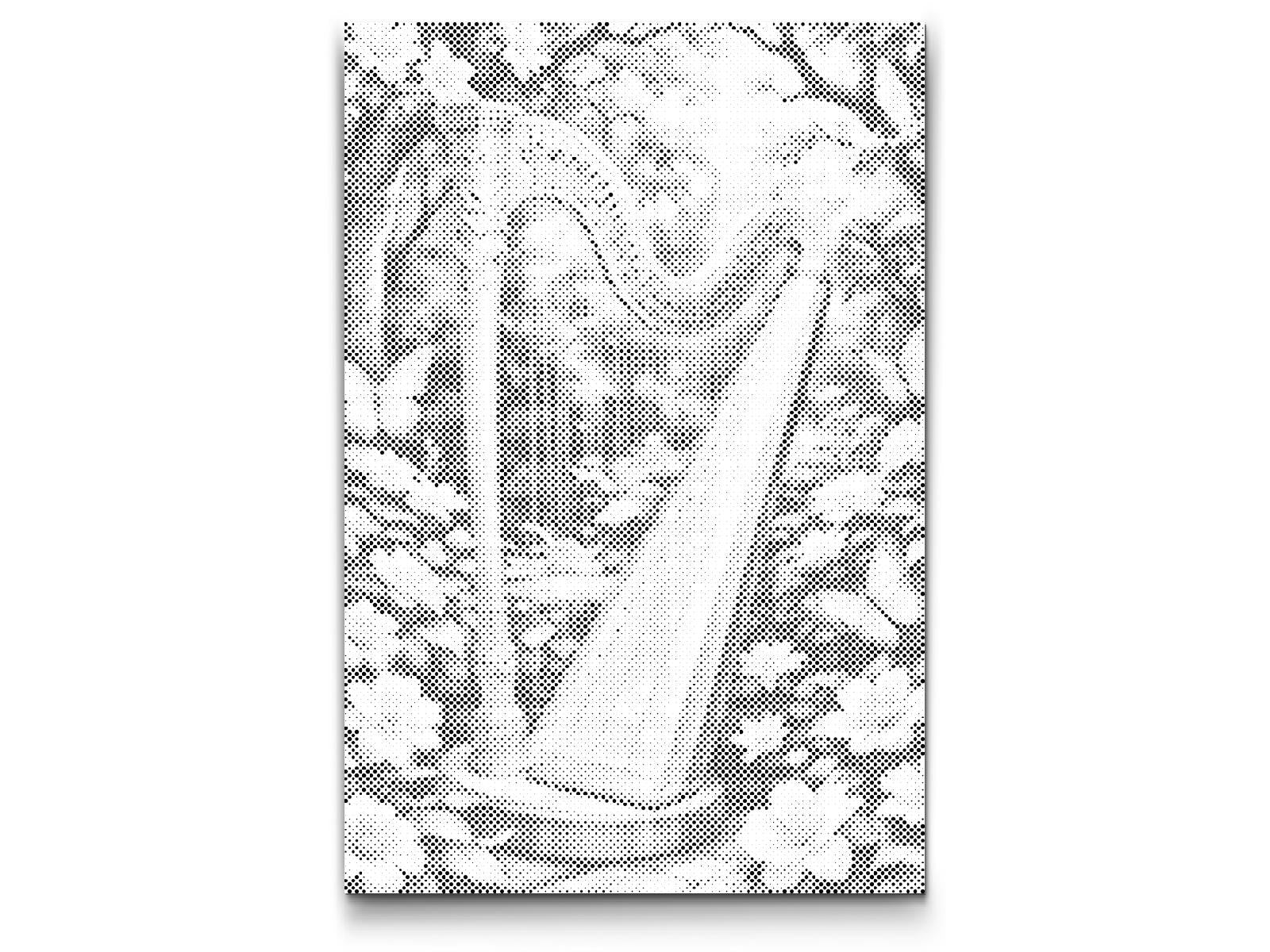 Harp in nature - Dottingo