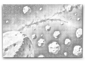 Asteroid belt - Dottingo