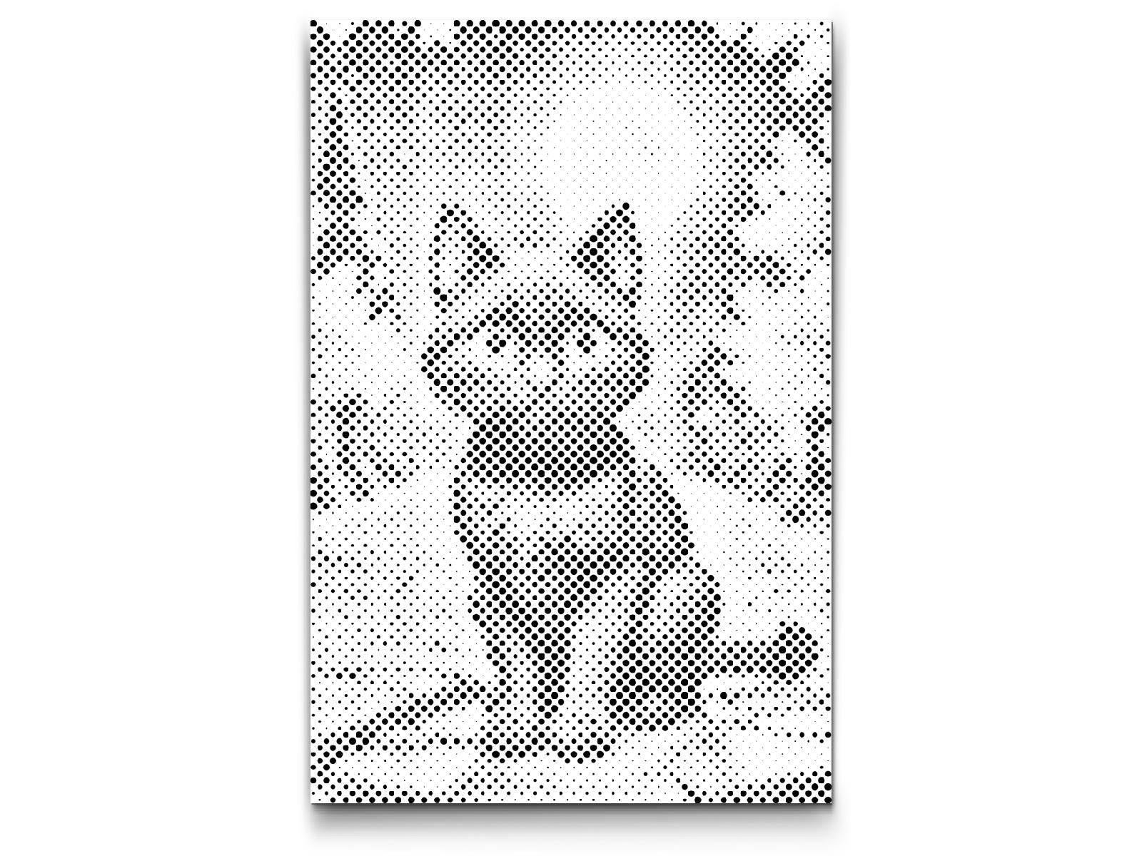 Black cat in autumn - Dottingo