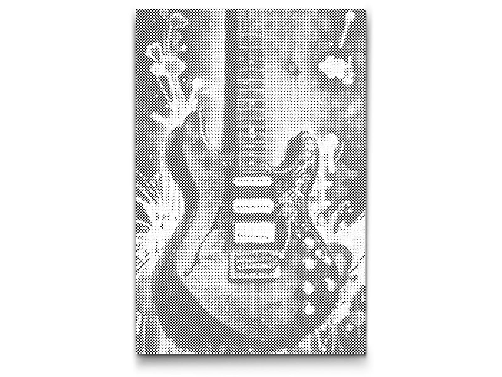Electric guitar - Dottingo