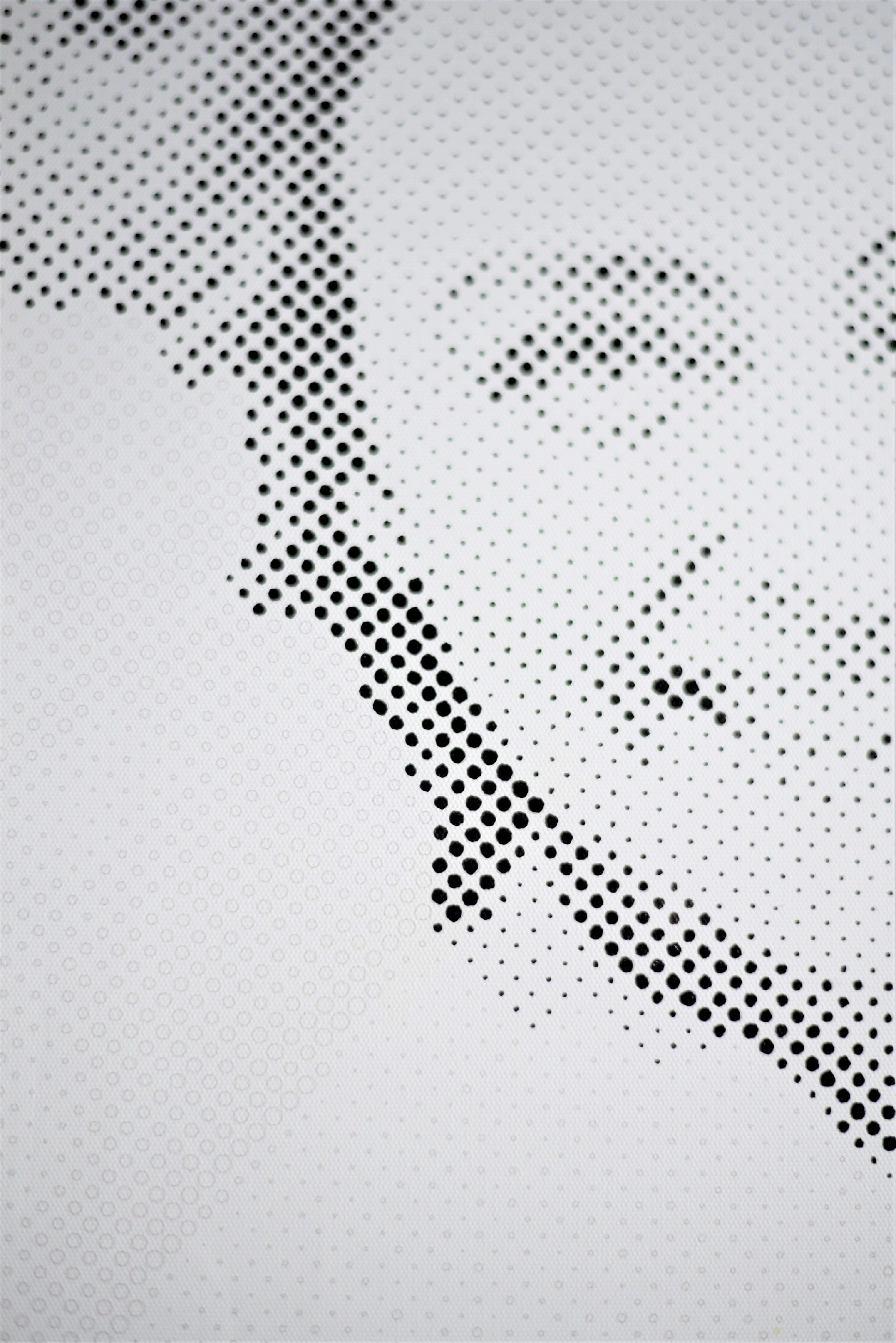 Recreate your photo with dots!