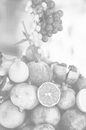 Coconut and Fruits - Dottingo