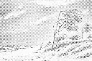 Deserted Beach - Dottingo