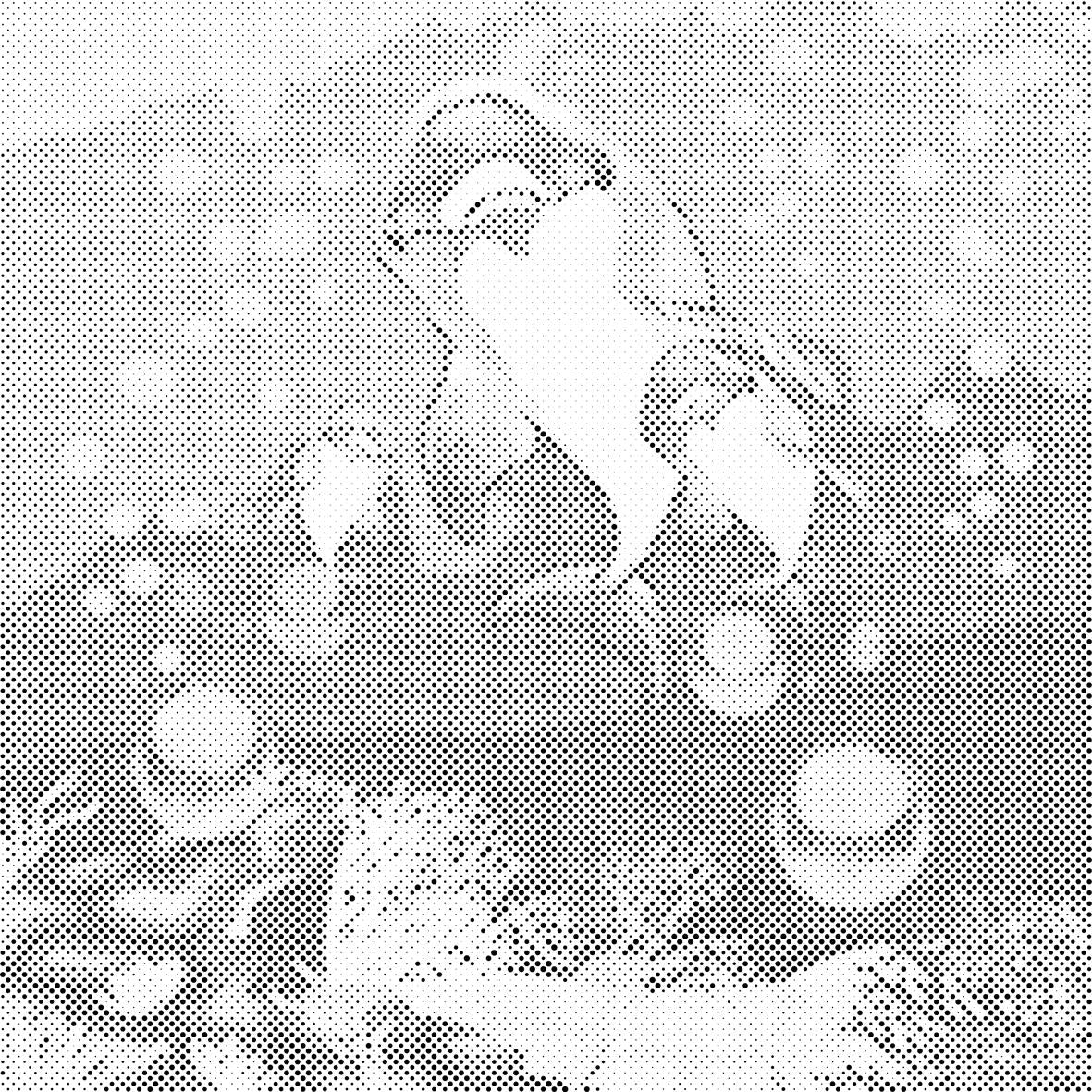 Cartoon Dolphins - Dottingo