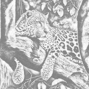 Spotted Leopard - Dottingo