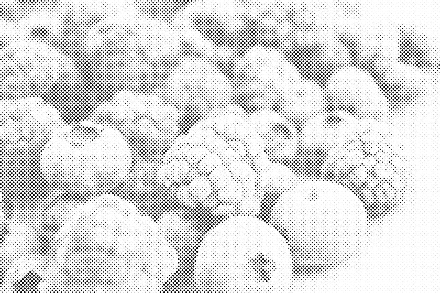 Frozen Fruits - Dottingo