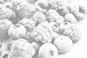 Frozen Fruits - Dottingo