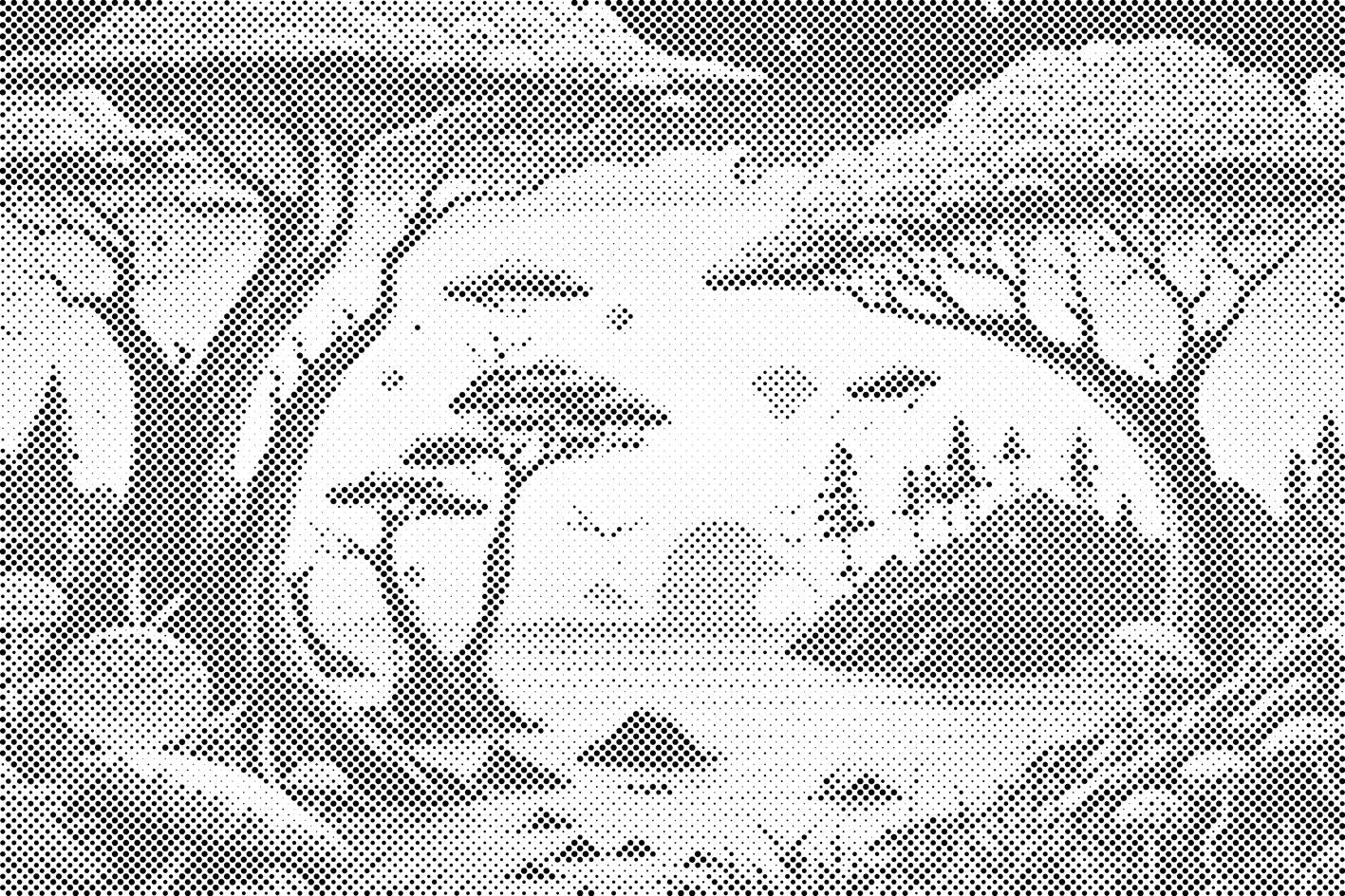 Forest full of Mushrooms - Dottingo