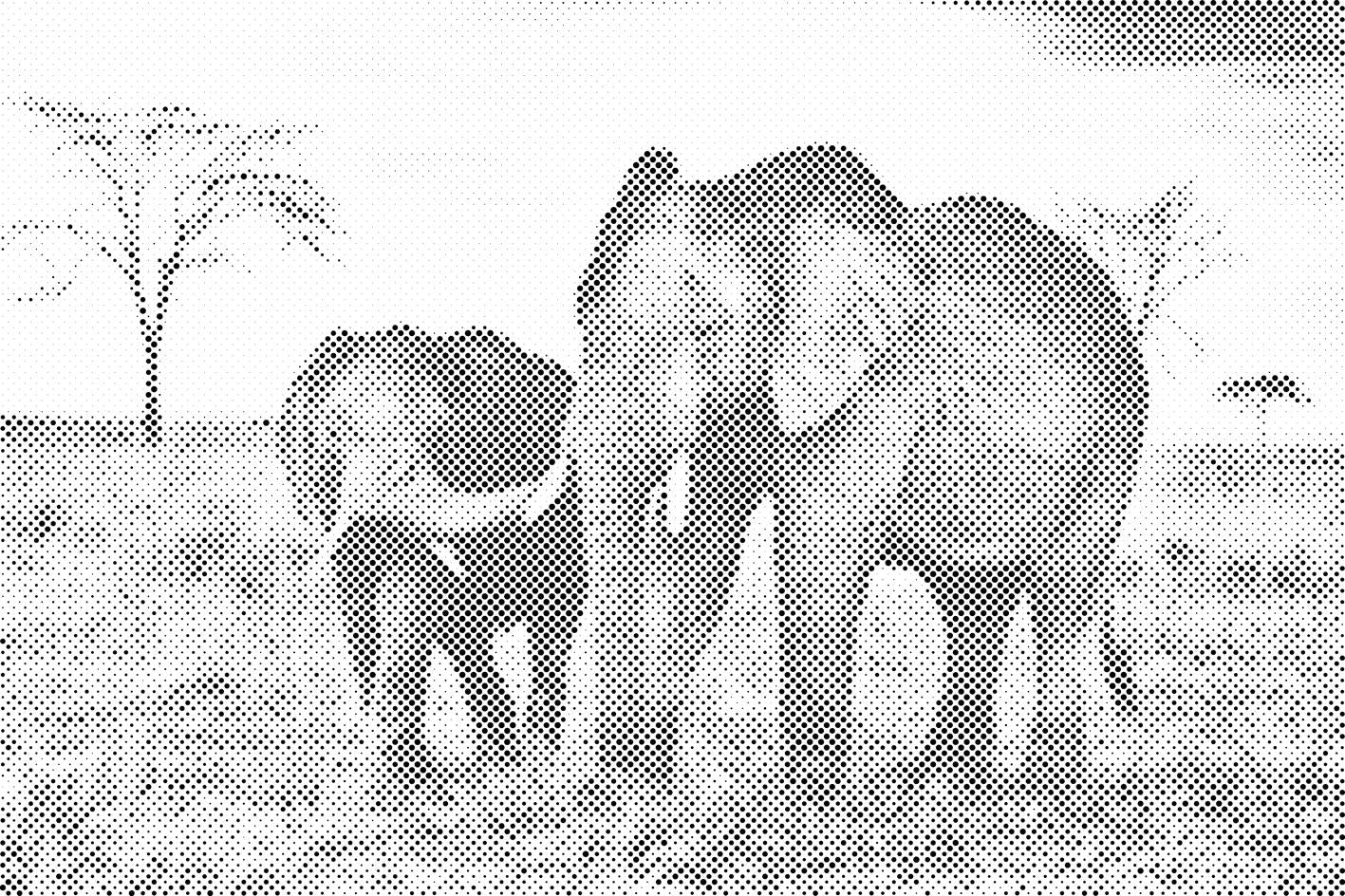Elephant Cub with Mother - Dottingo