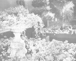 Flower Fountain - Dottingo