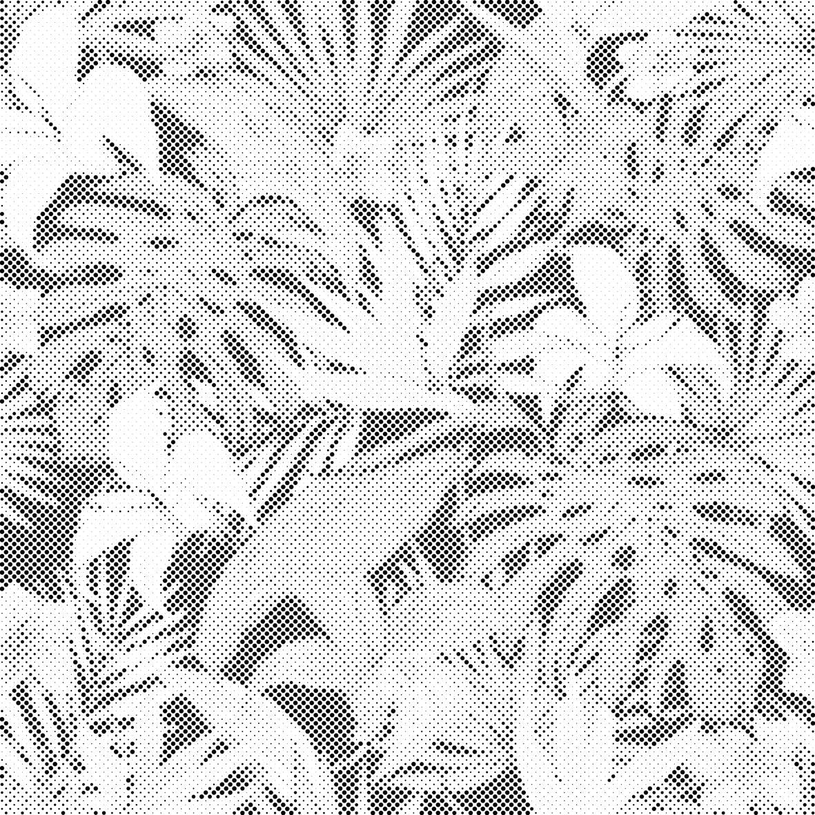 Tropical Background 2 - Dottingo