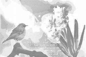 Hyacinth and Bird - Dottingo