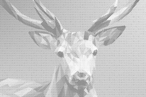 Vector Deer - Dottingo