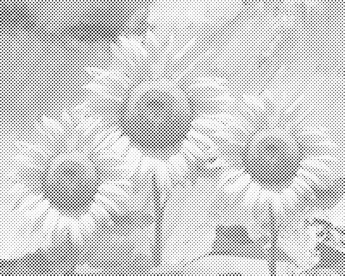 Sunflower in the Studio - Dottingo