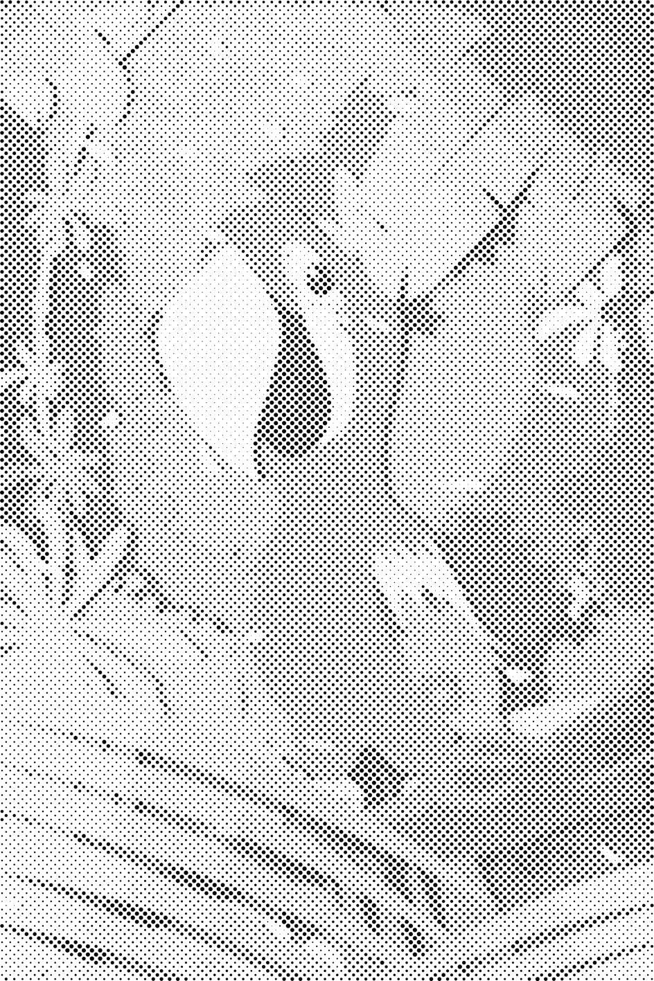 Happy Parrot - Dottingo