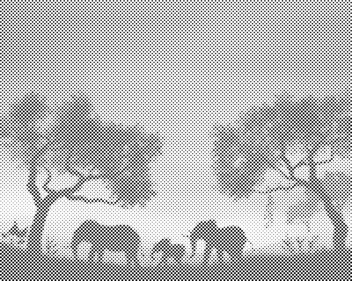 Elephant Family - Dottingo