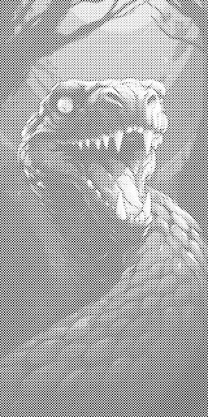 Poisonous snake - Dottingo