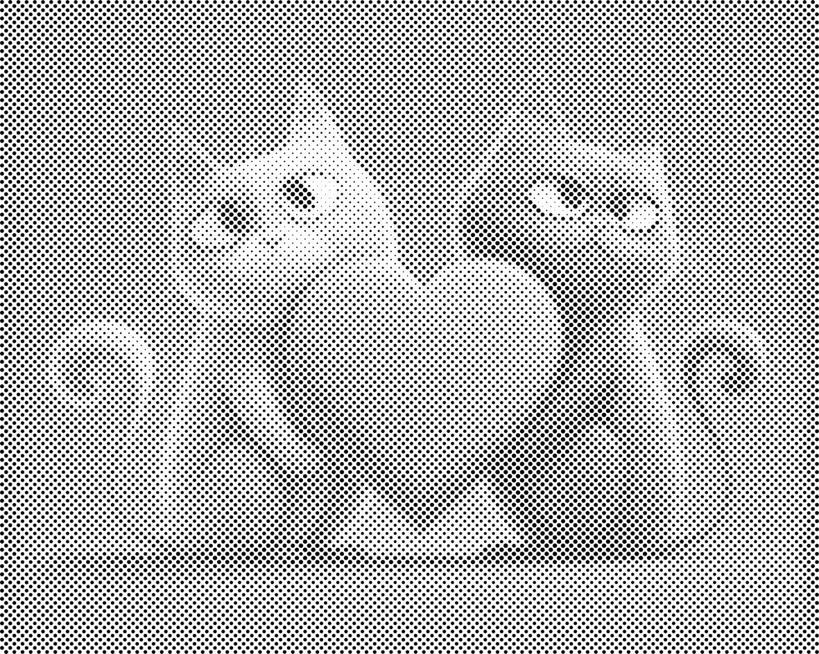 Cats in Love - Dottingo