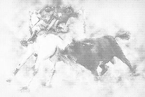 Bullfighting - Dottingo