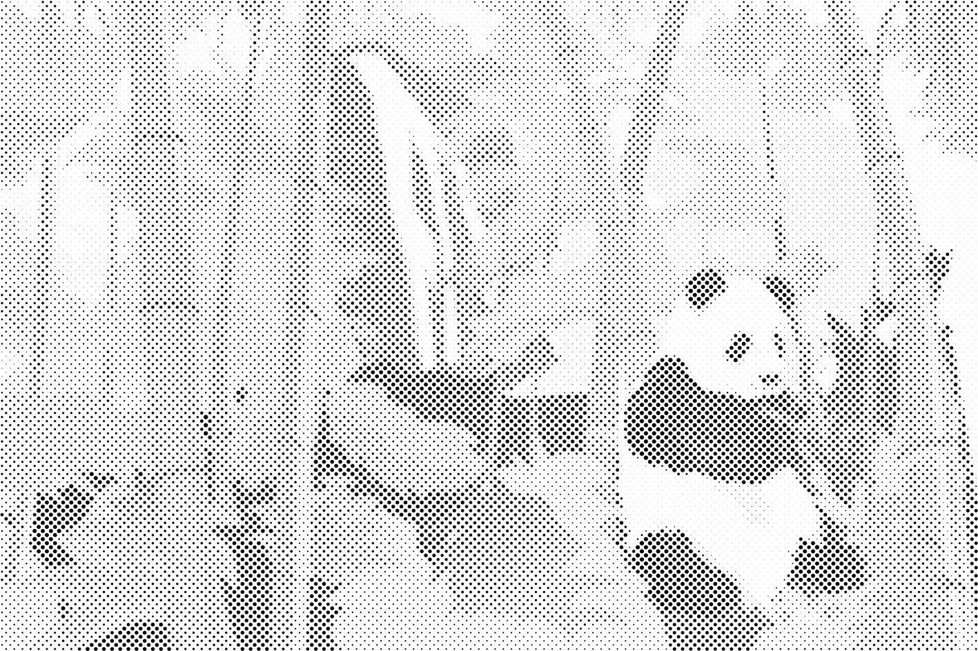 Panda in the Rainforest - Dottingo