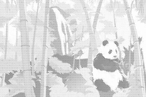 Panda in the Rainforest - Dottingo