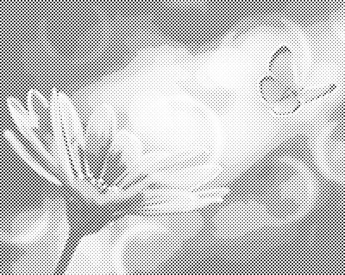 Butterfly and Gerbera - Dottingo