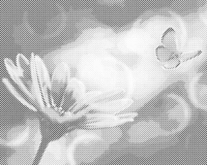 Butterfly and Gerbera - Dottingo