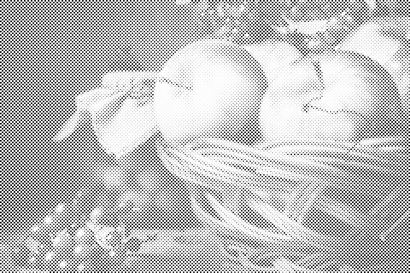 Fruits from Garden - Dottingo