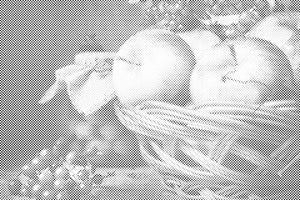 Fruits from Garden - Dottingo