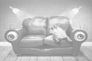 Couch Dog - Dottingo