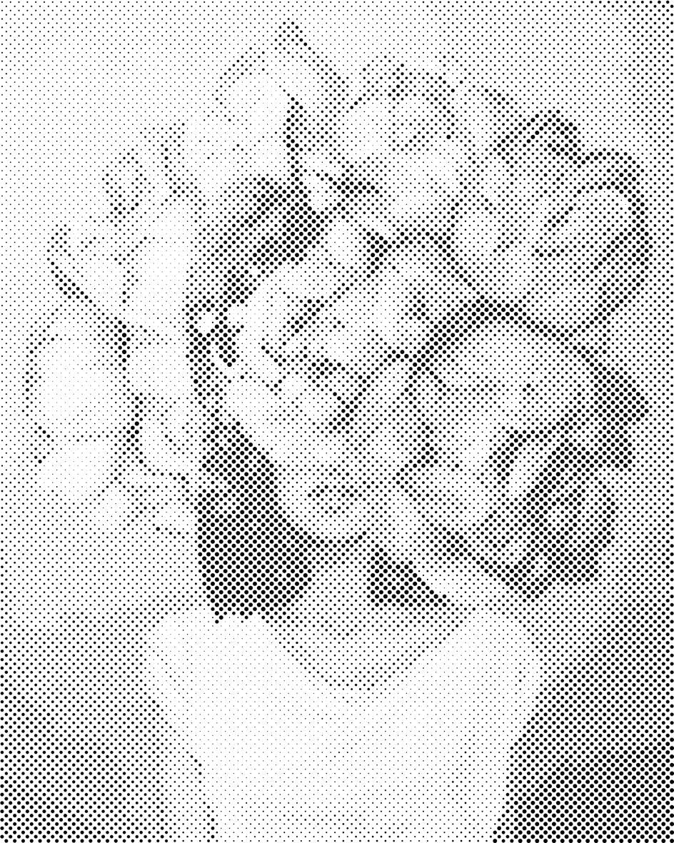 Woman Hidden in Peonies - Dottingo