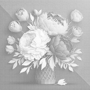 Bouquet of peonies - Dottingo