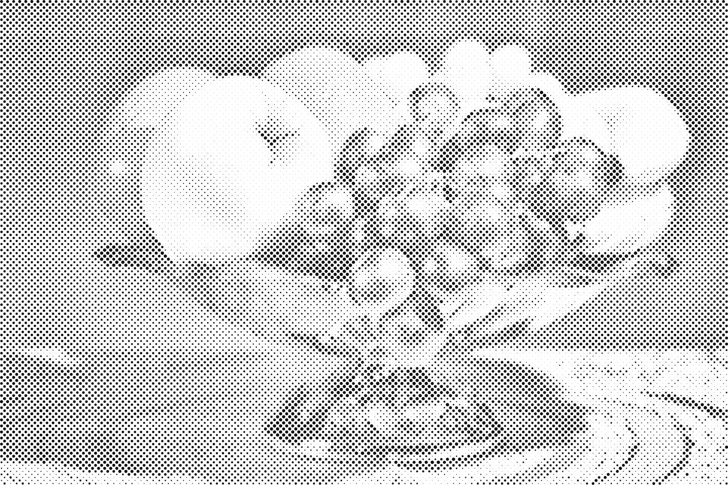 Bowl Full of Fruits - Dottingo