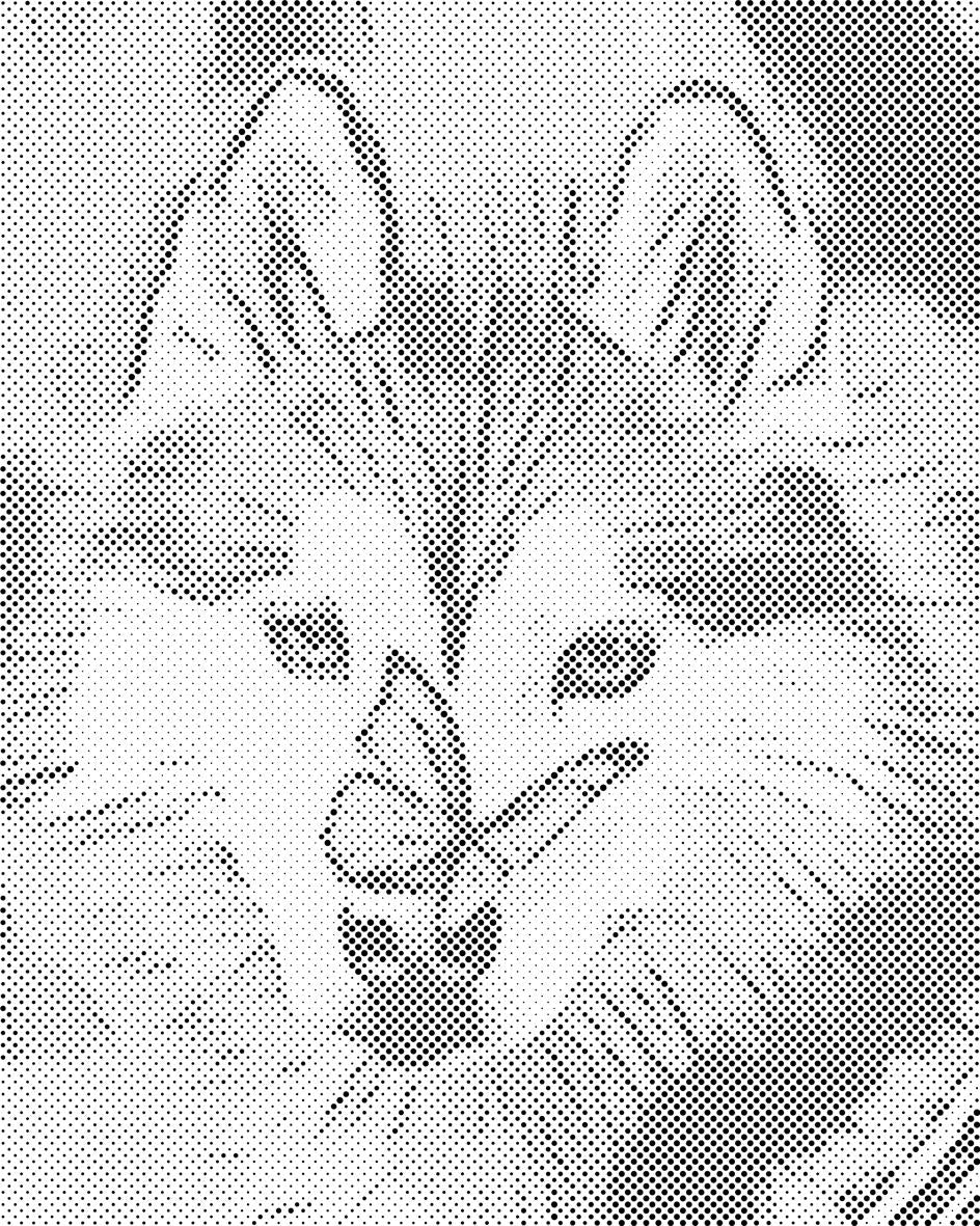 Butterfly and Husky - Dottingo